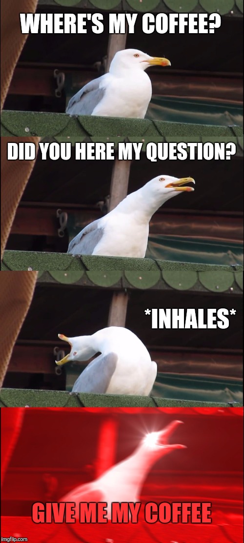 Inhaling Seagull Meme | WHERE'S MY COFFEE? DID YOU HERE MY QUESTION? *INHALES*; GIVE ME MY COFFEE | image tagged in memes,inhaling seagull | made w/ Imgflip meme maker