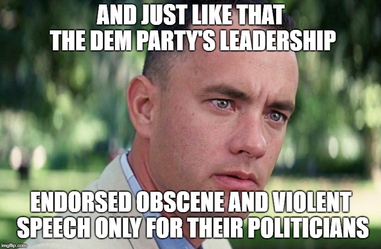 And Just Like That Meme | AND JUST LIKE THAT THE DEM PARTY'S LEADERSHIP; ENDORSED OBSCENE AND VIOLENT SPEECH ONLY FOR THEIR POLITICIANS | image tagged in and just like that | made w/ Imgflip meme maker