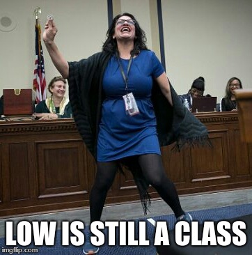 Log ago, Politicians were worthy of respect. | LOW IS STILL A CLASS | image tagged in representative rashida tlaib | made w/ Imgflip meme maker