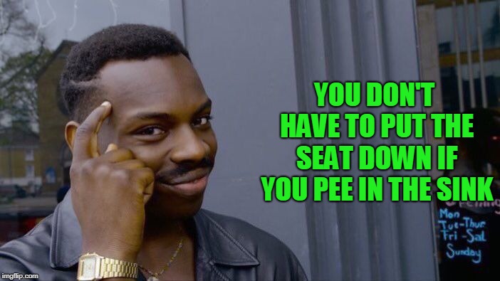 Roll Safe Think About It Meme | YOU DON'T HAVE TO PUT THE SEAT DOWN IF YOU PEE IN THE SINK | image tagged in memes,roll safe think about it | made w/ Imgflip meme maker