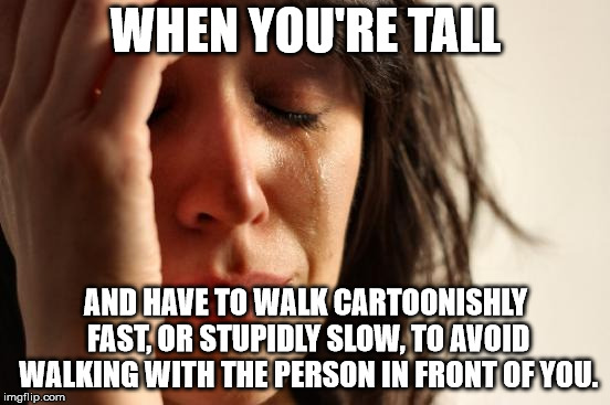First World Problems |  WHEN YOU'RE TALL; AND HAVE TO WALK CARTOONISHLY FAST, OR STUPIDLY SLOW, TO AVOID WALKING WITH THE PERSON IN FRONT OF YOU. | image tagged in memes,first world problems | made w/ Imgflip meme maker