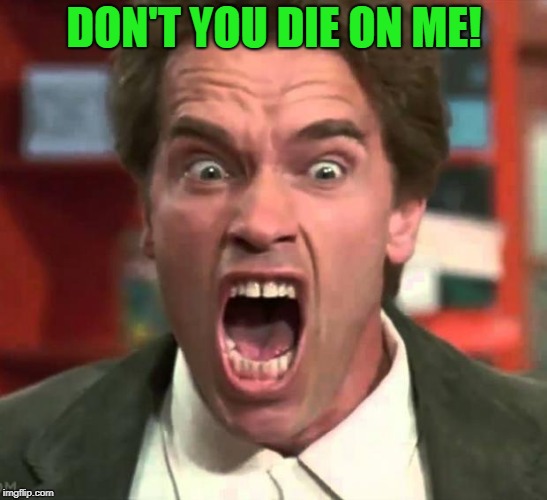 Arnold yelling | DON'T YOU DIE ON ME! | image tagged in arnold yelling | made w/ Imgflip meme maker