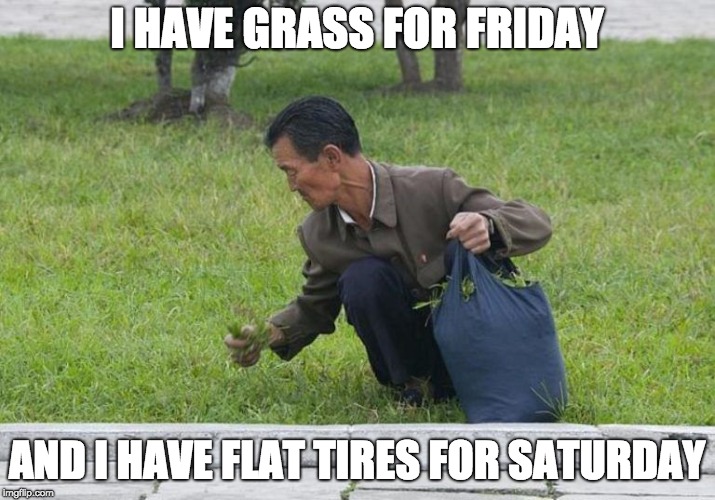 North Korean Grassman | I HAVE GRASS FOR FRIDAY; AND I HAVE FLAT TIRES FOR SATURDAY | image tagged in comedy | made w/ Imgflip meme maker