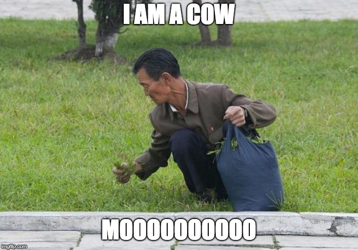 North Korean Grassman | I AM A COW; MOOOOOOOOOO | image tagged in comedy | made w/ Imgflip meme maker