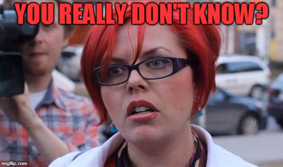 Angry Feminist | YOU REALLY DON'T KNOW? | image tagged in angry feminist | made w/ Imgflip meme maker