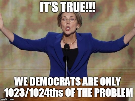 Elizabeth Warren | IT'S TRUE!!! WE DEMOCRATS ARE ONLY 1023/1024ths OF THE PROBLEM | image tagged in elizabeth warren | made w/ Imgflip meme maker