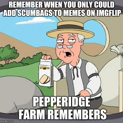 Pepperidge Farm Remembers Meme | REMEMBER WHEN YOU ONLY COULD ADD SCUMBAGS TO MEMES ON IMGFLIP; PEPPERIDGE FARM REMEMBERS | image tagged in memes,pepperidge farm remembers | made w/ Imgflip meme maker