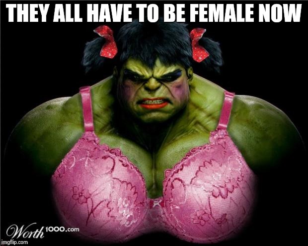 Female Hulk | THEY ALL HAVE TO BE FEMALE NOW | image tagged in female hulk | made w/ Imgflip meme maker