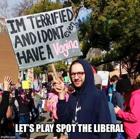 Let’s play... | LET’S PLAY SPOT THE LIBERAL | image tagged in libtards,politics | made w/ Imgflip meme maker