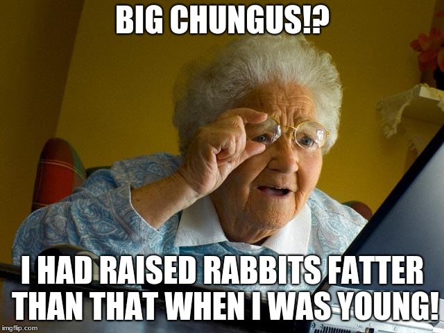 grandmas finds big chungus | BIG CHUNGUS!? I HAD RAISED RABBITS FATTER THAN THAT WHEN I WAS YOUNG! | image tagged in memes,grandma finds the internet | made w/ Imgflip meme maker