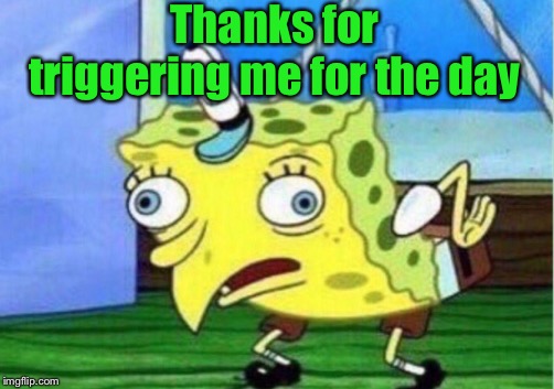 Mocking Spongebob Meme | Thanks for triggering me for the day | image tagged in memes,mocking spongebob | made w/ Imgflip meme maker