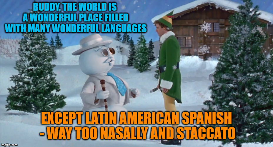 BUDDY, THE WORLD IS A WONDERFUL PLACE FILLED WITH MANY WONDERFUL LANGUAGES; EXCEPT LATIN AMERICAN SPANISH - WAY TOO NASALLY AND STACCATO | image tagged in snowman elf | made w/ Imgflip meme maker