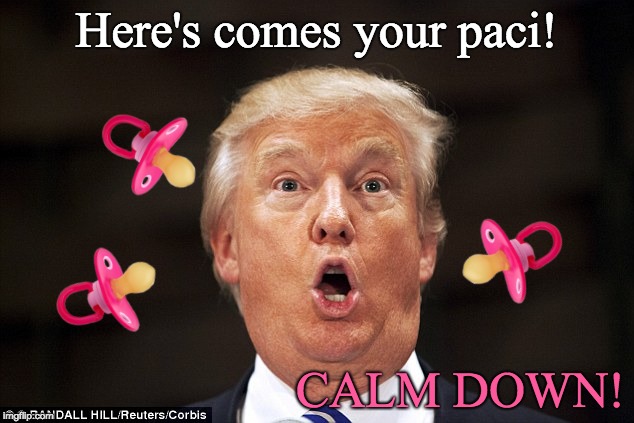 Trump tantrum - here's your paci. |  Here's comes your paci! CALM DOWN! | image tagged in trump tantrum,trump pacifier,trump sad,trump baby,donald trump crying,trump | made w/ Imgflip meme maker