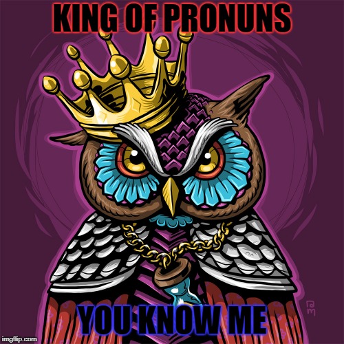 King of Pronouns | KING OF PRONUNS; YOU KNOW ME | image tagged in owls | made w/ Imgflip meme maker