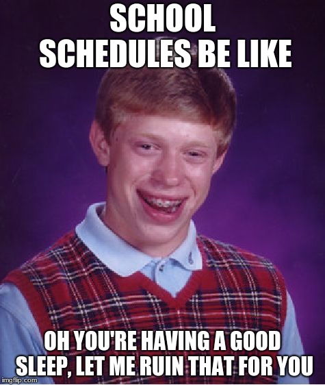 Bad Luck Brian Meme | SCHOOL SCHEDULES BE LIKE; OH YOU'RE HAVING A GOOD SLEEP, LET ME RUIN THAT FOR YOU | image tagged in memes,bad luck brian | made w/ Imgflip meme maker