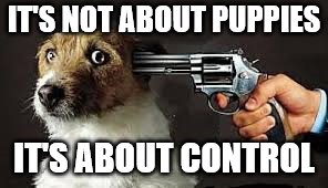 Or the puppy gets it | IT'S NOT ABOUT PUPPIES; IT'S ABOUT CONTROL | image tagged in or the puppy gets it | made w/ Imgflip meme maker