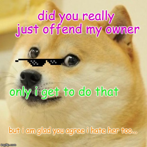 Doge | did you really just offend my owner; only i get to do that; but i am glad you agree i hate her too... | image tagged in memes,doge | made w/ Imgflip meme maker