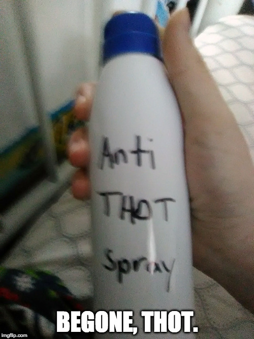 I Got the Spray Ready for Business!! | BEGONE, THOT. | image tagged in anti-thot spray,begone thot,memes,spray,thot | made w/ Imgflip meme maker