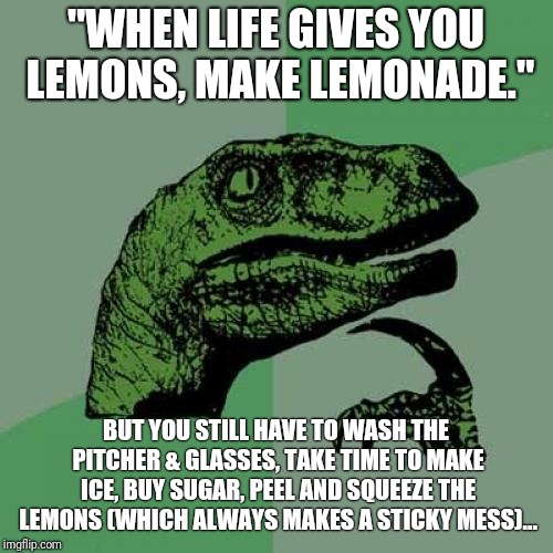 It's Just Easier To Buy Some Lemonade And Chuck The Lemons At Cars Off Of An Overpass | "WHEN LIFE GIVES YOU LEMONS, MAKE LEMONADE."; BUT YOU STILL HAVE TO WASH THE PITCHER & GLASSES, TAKE TIME TO MAKE ICE, BUY SUGAR, PEEL AND SQUEEZE THE LEMONS (WHICH ALWAYS MAKES A STICKY MESS)... | image tagged in memes,philosoraptor,when life gives you lemons,lemons,when lif gives you lemons,lemonade | made w/ Imgflip meme maker