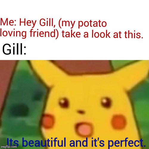 Surprised Pikachu Meme | Its beautiful and it's perfect. Me: Hey Gill, (my potato loving friend) take a look at this. Gill: | image tagged in memes,surprised pikachu | made w/ Imgflip meme maker