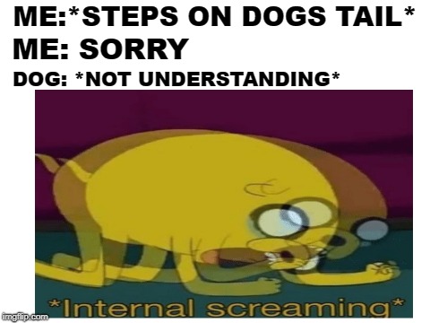 pets | ME:*STEPS ON DOGS TAIL*; ME: SORRY; DOG: *NOT UNDERSTANDING* | image tagged in screaming,jake,dogs,funny meme | made w/ Imgflip meme maker