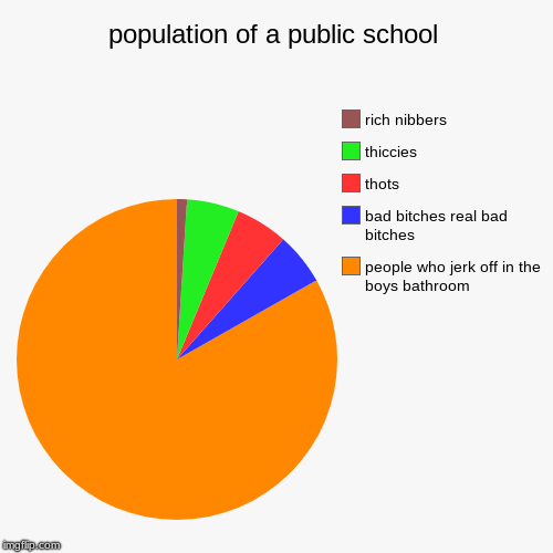 population of a public school | people who jerk off in the boys bathroom, bad b**ches real bad b**ches, thots, thiccies, rich nibbers | image tagged in funny,pie charts | made w/ Imgflip chart maker