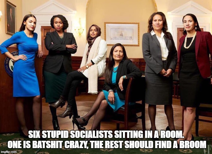 SIX STUPID SOCIALISTS SITTING IN A ROOM. ONE IS BATSHIT CRAZY, THE REST SHOULD FIND A BROOM | image tagged in aoc,new blood,democrats | made w/ Imgflip meme maker