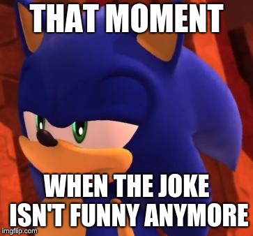 Disappointed Sonic | THAT MOMENT; WHEN THE JOKE ISN'T FUNNY ANYMORE | image tagged in disappointed sonic | made w/ Imgflip meme maker