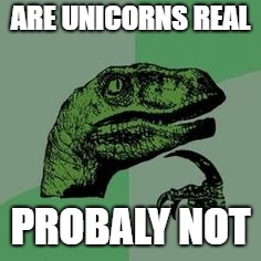 Time raptor  | ARE UNICORNS REAL; PROBALY NOT | image tagged in time raptor | made w/ Imgflip meme maker