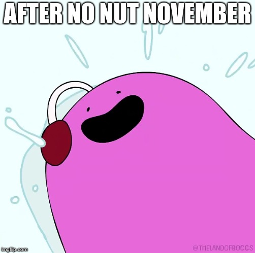 AFTER NO NUT NOVEMBER | image tagged in no nut november | made w/ Imgflip meme maker
