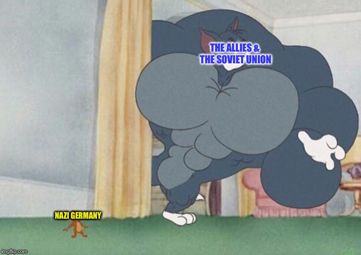 Berlin, April 1945 | THE ALLIES & THE SOVIET UNION; NAZI GERMANY | image tagged in tom and jerry | made w/ Imgflip meme maker
