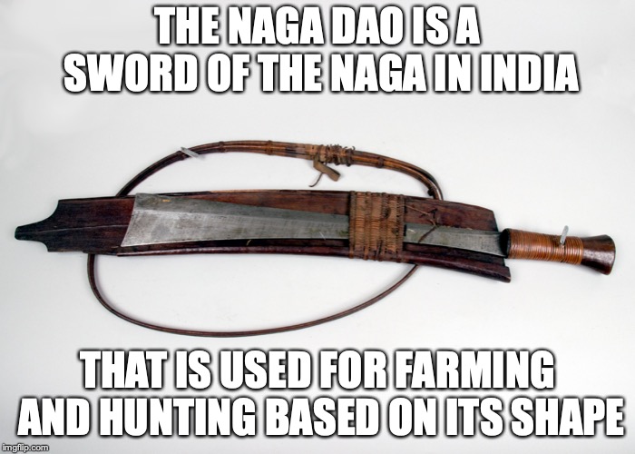 Naga Dao | THE NAGA DAO IS A SWORD OF THE NAGA IN INDIA; THAT IS USED FOR FARMING AND HUNTING BASED ON ITS SHAPE | image tagged in weapons,memes | made w/ Imgflip meme maker
