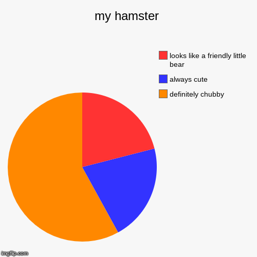 my hamster | definitely chubby, always cute, looks like a friendly little bear | image tagged in funny,pie charts | made w/ Imgflip chart maker