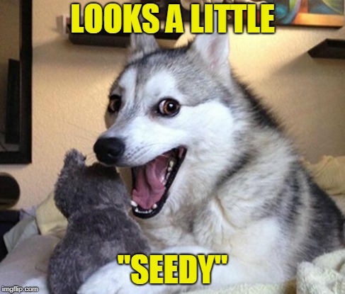 LOOKS A LITTLE "SEEDY" | made w/ Imgflip meme maker