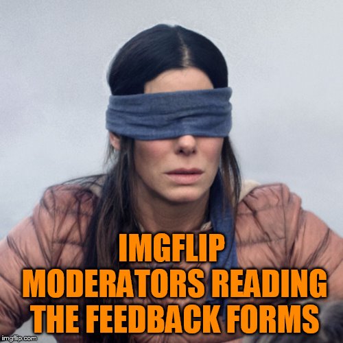 Sandra Bullock Blindfolded | IMGFLIP MODERATORS READING THE FEEDBACK FORMS | image tagged in sandra bullock blindfolded | made w/ Imgflip meme maker