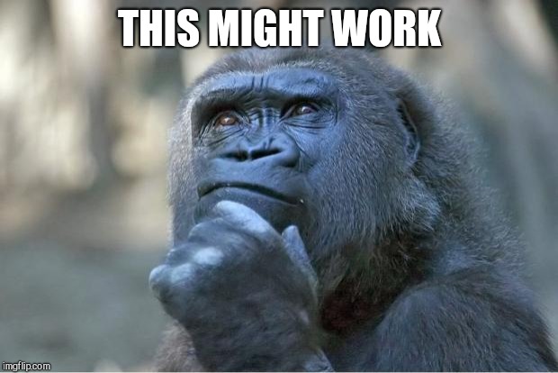 The thinking gorilla | THIS MIGHT WORK | image tagged in the thinking gorilla | made w/ Imgflip meme maker
