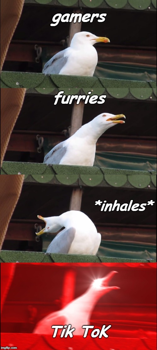 Inhaling Seagull | gamers; furries; *inhales*; Tik ToK | image tagged in memes,inhaling seagull | made w/ Imgflip meme maker