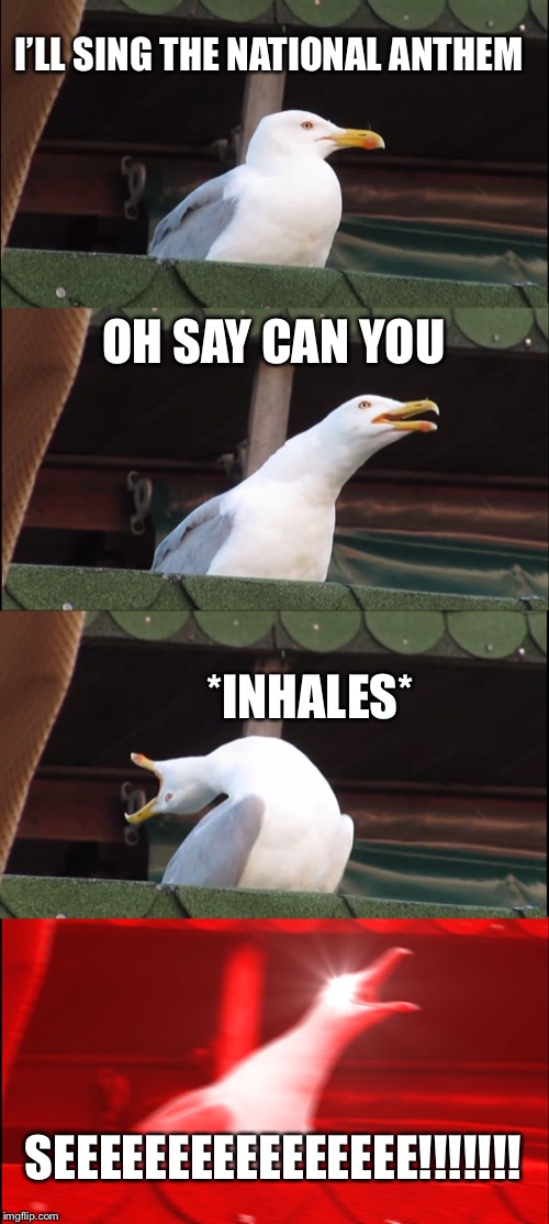 Inhaling Seagull Meme | I’LL SING THE NATIONAL ANTHEM; OH SAY CAN YOU; *INHALES*; SEEEEEEEEEEEEEEEE!!!!!!! | image tagged in memes,inhaling seagull | made w/ Imgflip meme maker