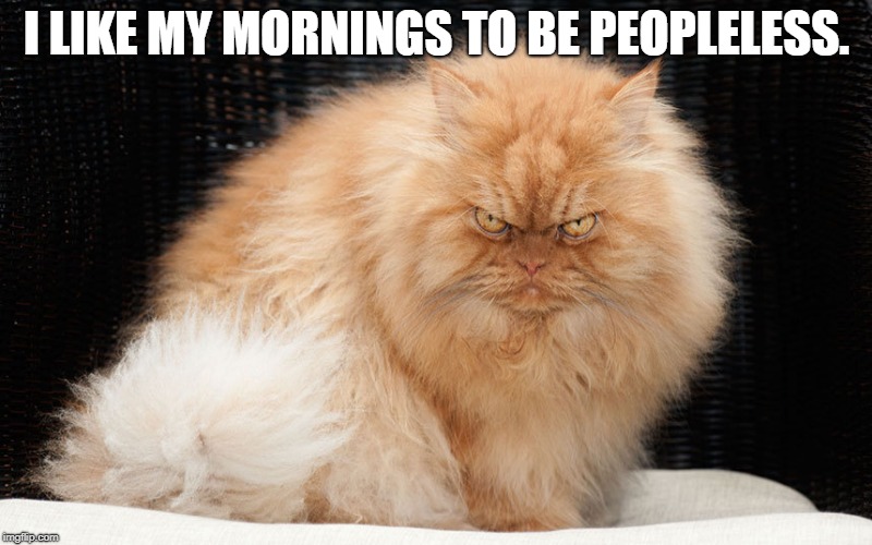 bigger and better Grumpy Cat | I LIKE MY MORNINGS TO BE PEOPLELESS. | image tagged in bigger and better grumpy cat | made w/ Imgflip meme maker
