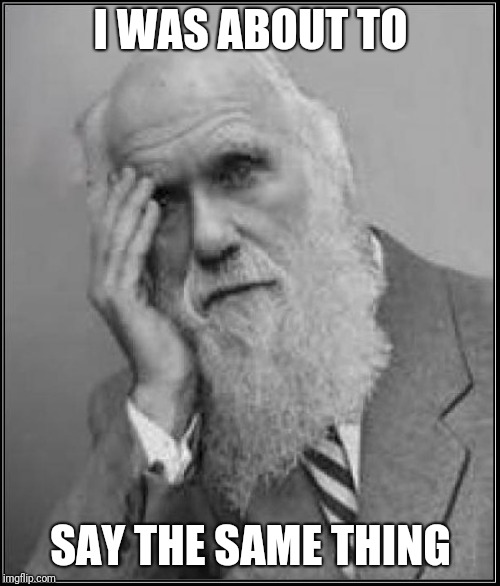darwin facepalm | I WAS ABOUT TO SAY THE SAME THING | image tagged in darwin facepalm | made w/ Imgflip meme maker