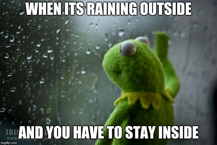 kermit window | WHEN ITS RAINING OUTSIDE; AND YOU HAVE TO STAY INSIDE | image tagged in kermit window | made w/ Imgflip meme maker