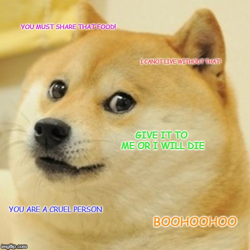 Doge Meme | YOU MUST SHARE THAT FOOD! I CANOT LIVE WITHOUT THAT! GIVE IT TO ME OR I WILL DIE; YOU ARE A CRUEL PERSON; BOOHOOHOO | image tagged in memes,doge | made w/ Imgflip meme maker