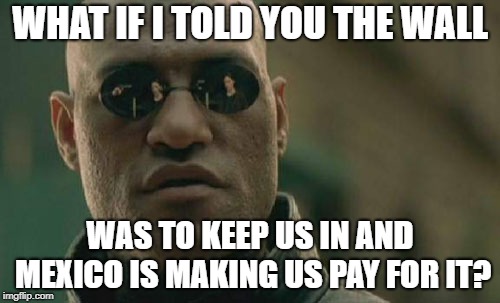 Matrix Morpheus | WHAT IF I TOLD YOU THE WALL; WAS TO KEEP US IN AND MEXICO IS MAKING US PAY FOR IT? | image tagged in memes,matrix morpheus | made w/ Imgflip meme maker