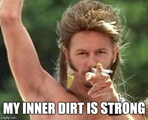 Joe dirt | MY INNER DIRT IS STRONG | image tagged in joe dirt | made w/ Imgflip meme maker