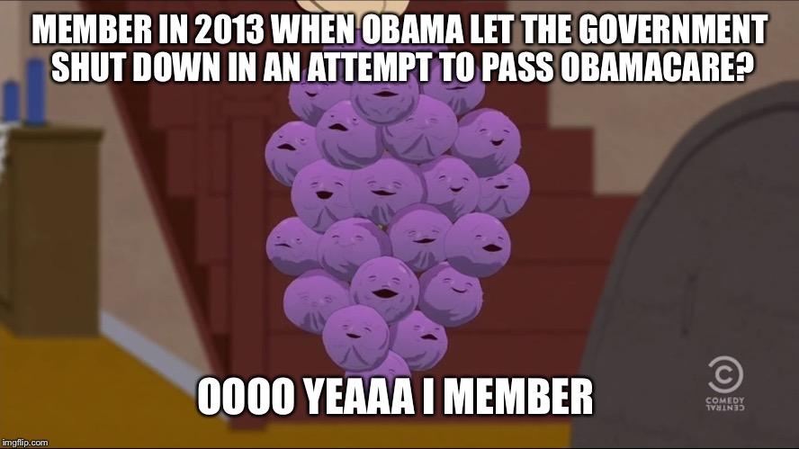 Member Berries | MEMBER IN 2013 WHEN OBAMA LET THE GOVERNMENT SHUT DOWN IN AN ATTEMPT TO PASS OBAMACARE? OOOO YEAAA I MEMBER | image tagged in memes,member berries | made w/ Imgflip meme maker