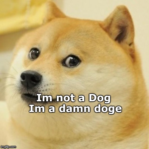 Doge | Im not a Dog Im a damn doge | image tagged in memes,doge | made w/ Imgflip meme maker