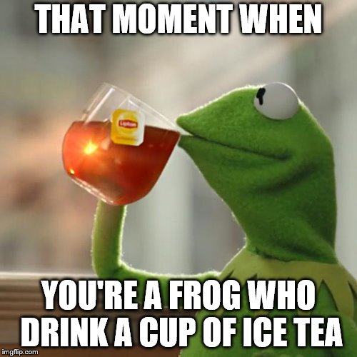 But That's None Of My Business Meme | THAT MOMENT WHEN; YOU'RE A FROG WHO DRINK A CUP OF ICE TEA | image tagged in memes,but thats none of my business,kermit the frog | made w/ Imgflip meme maker