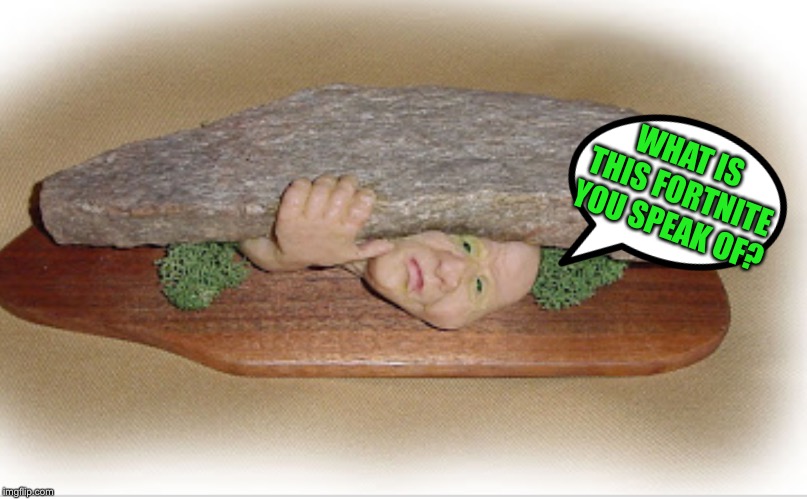 WHAT IS THIS FORTNITE YOU SPEAK OF? | made w/ Imgflip meme maker