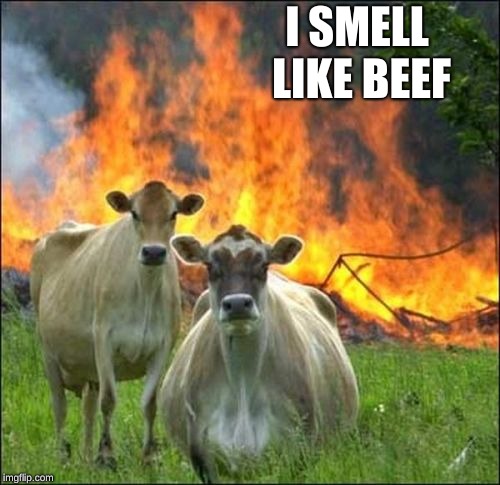 Evil Cows Meme | I SMELL LIKE BEEF | image tagged in memes,evil cows | made w/ Imgflip meme maker