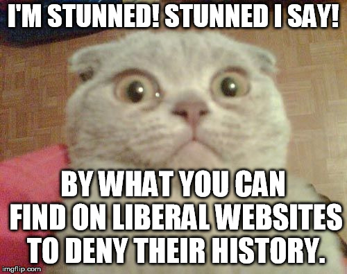 Stunned Cat | I'M STUNNED! STUNNED I SAY! BY WHAT YOU CAN FIND ON LIBERAL WEBSITES TO DENY THEIR HISTORY. | image tagged in stunned cat | made w/ Imgflip meme maker